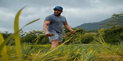 நடிகர் சல்மான் கானை பாம்பு கடித்ததாக தகவல்!