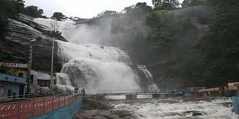 ஆங்கில புத்தாண்டு: 3 நாட்களுக்கு குற்றாலம் அருவிகளில் குளிக்கத் தடை