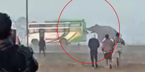 ஒடிசாவில் பேருந்தை தள்ளிக்கொண்டு சென்று பரபரப்பை ஏற்படுத்திய யானை - மிரண்டுபோன பயணிகள்