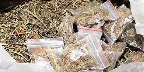 நாமக்கல்: இரவு சோதனையில் ஆந்திராவிலிருந்து கடத்தப்பட்ட 300 கிலோ கஞ்சா சிக்கியது