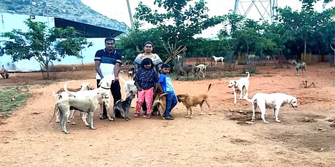 அழிந்து வரும் நாட்டுநாய் இனங்கள்: மீட்டெடுக்கும் முயற்சியில் ஈடுபட்டுள்ள ஐடி பொறியாளர்