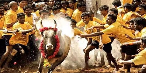 அவனியாபுரம் ஜல்லிக்கட்டு: காளை முட்டி 18 வயது இளைஞர் உயிரிழந்த சோகம்