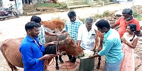 திண்டுக்கல்:  சிறுமலை வனக்கிராம மக்கள் கொண்டாடிய குதிரை பொங்கல்  