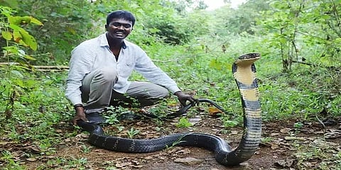 நாகப்பாம்பு கடித்ததால் கோமா நிலை - மீண்டு வந்தார் 'வாவா சுரேஷ்'
