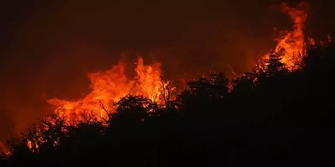 அர்ஜென்டினாவில் கட்டுக்கடங்காத காட்டுத் தீ - அணைக்க போராட்டம்