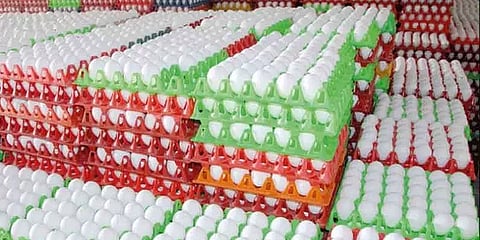 தொடர்ந்து குறையும் முட்டையின் விலை: காரணம் என்ன?