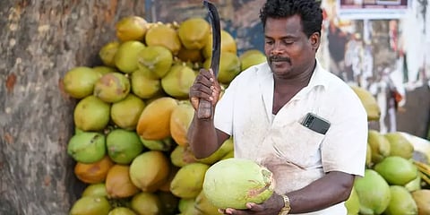 எளியோரின் வலிமை கதைகள் 23: குடும்பத்துக்கு பொருளாதாரமே இளநீர்தாங்க!