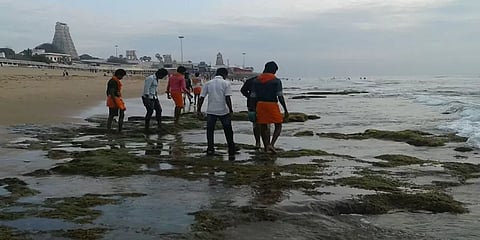 திருச்செந்தூர் கடற்கரையில்  100 அடிக்கு உள்வாங்கிய கடல்