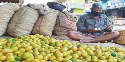 'சம்மர் டைம்'  எலுமிச்சை தேவை அதிகரிப்பு - விலை கிடுகிடு உயர்வு!