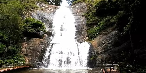 கோடையில் இருந்து தப்பிக்க கொடைக்கானல் பயணமா? இதை மிஸ் பண்ணிடாதீங்க!