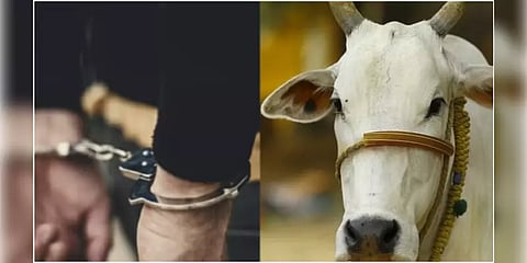 லக்னோவில் பசுவை பாலியல் வன்கொடுமை செய்தவர் கைது