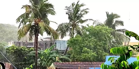 காலையில் வாட்டி வதைத்த வெயில் மதியம் திடீரென கொட்டித் தீர்த்த கனமழை