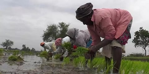 மே மாதத்தில் திறக்கப்படும் மேட்டூர் அணை... வரலாற்றில் முதல்முறை!