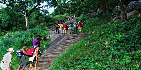 வெள்ளியங்கிரி மலையேறிய வழக்கறிஞர் மயங்கி விழுந்து பலி
