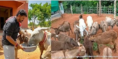 ரூ.17 லட்சத்துக்கு குவிந்த ஆர்டர்கள்! வாயடைக்க வைக்கும் கழுதைப்பண்ணை உரிமையாளர்