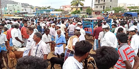 பக்ரீத் பண்டிகை - செஞ்சி வாரச் சந்தையில் ரூ.6 கோடிக்கு மேல் விற்பனையான ஆடுகள்