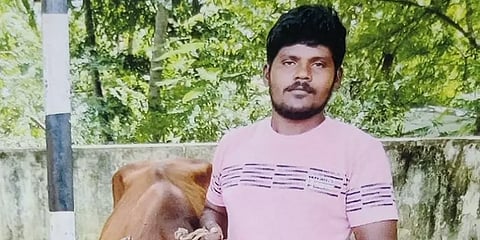 ஆம்பூரில் திருடப்பட்ட பசுக்கள் திண்டுக்கல்லில் விற்பனை - போலீசாரிடம் வசமாக மாட்டிய இளைஞர்