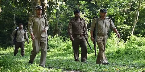 ஒரு மாத யானைக்குட்டியின் சடலம் கண்டெடுப்பு - கோவையில் தொடரும் சோகம்