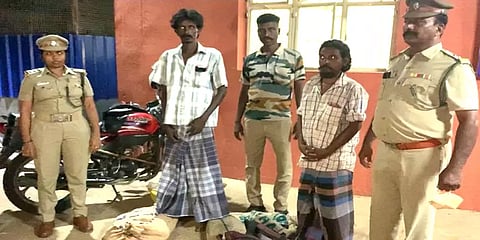 உடும்பு வேட்டை: திருச்சிக்கு கடத்த முயன்ற 29 உடும்புகள் உயிருடன் மீட்பு - இருவர் கைது