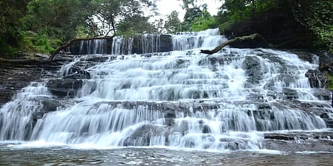 கொடைக்கானல் தொடர்  கனமழையால் ஆர்ப்பரித்துக் கொட்டும் அருவிகள்! கண்கவர் புகைப்படங்கள்