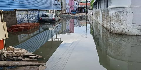 மழைநீர் வடிகால் பணி தாமதத்தால் பரவும் நோய்தொற்றுகள்; போராட்டத்தில் இறங்கிய நெல்லை மக்கள்