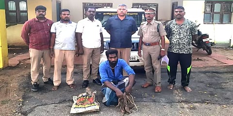 உடும்புகளை பிடித்து விற்பனைக்காக வைத்திருந்த நபருக்கு சிறை: மயிலாடுதுறை நீதிமன்றம் அதிரடி!