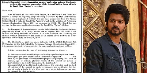 `வாரிசு’ படப்பிடிப்பு நிறுவனத்துக்கு விலங்குகள் நல ஆணையம் நோட்டீஸ்! முழு விவரம்