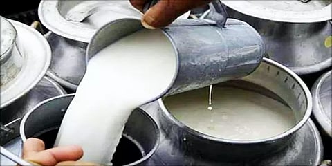 நாடு முழுவதும் உயரும் பால் விலை.. எந்தெந்த மாநிலத்தில் எவ்வளவு சதவீதம்? - முழுவிபரம்