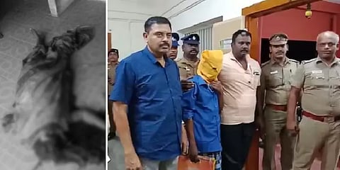 இரக்கமின்றி கொல்லப்பட்ட மனநலம் பாதிக்கப்பட்ட பெண் - திருப்பூரில் அதிர்ச்சி: நடந்தது என்ன?