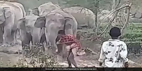 குச்சியால் அடித்து யானையை வம்புக்கிழுத்த சிறுவர்கள்.. தாக்காமல் துரத்திவிட்ட யானை..!
