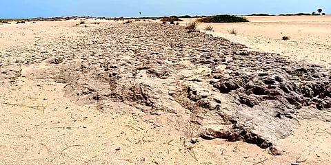 ராமநாதபுரம் அருகே கண்டறியப்பட்ட பழமையாக கடல்வழி சாலை - ஆய்வு செய்ய கோரிக்கை