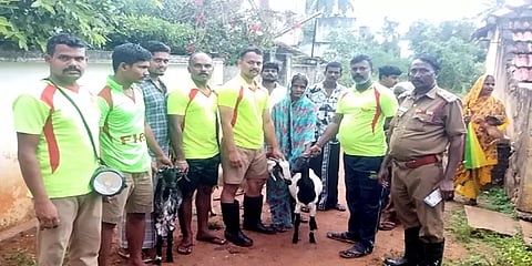 கிணற்றில் விழுந்து உயிருக்குப் போராடிய ஆடுகள்.. கொட்டும் மழையிலும் நடந்த மீட்புப்பணி!