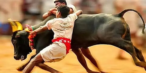 போலி டோக்கன் மூலம் ஜல்லிக்கட்டு காளைகளை அழைத்து வந்தால் கடும் நடவடிக்கை - காவல்துறை