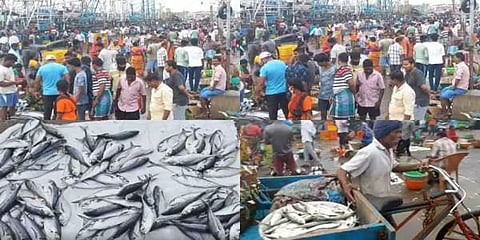 மாட்டுப் பொங்கலை முன்னிட்டு மீன் வாங்க குவிந்த மக்கள்!