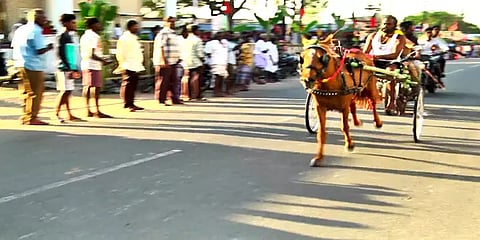 அனல் பறந்த ரேக்ளா ரேஸ் களம்: புழுதி பறக்க தாவி ஓடி பரிசை தட்டித் தூக்கிய குதிரைகள்!