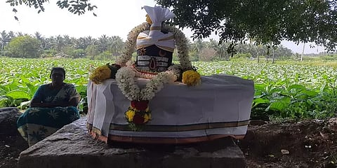 ஈரோடு: விவசாய நிலத்தில் கிடந்த புலிக்குத்தி நடுகல், சிவலிங்கம்!  வழிபாடும் நடத்தும் மக்கள்