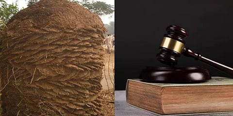 'மாட்டு சாணம்  பூசப்பட்ட வீட்டை அணுக்கதிர் வீச்சு தாக்காது' - சொல்கிறார் குஜராத் நீதிபதி