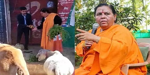 ம.பி: மதுக்கடை முன்பு மாடுகளை கட்டிப்போட்டு, பாஜக-வுக்கு எதிராக போராடிய பாஜக பெண் தலைவர்!