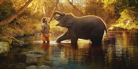 ஆஸ்கர் விருதை வென்றது முதுமலை தம்பதி குறித்த  ’THE ELEPHANT WHISPERERS’ ஆவண குறும்படம்