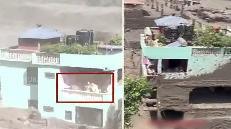 யாருப்பா அந்த இன்ஜினியர்? மலை போல் நின்ற வைரல் பச்ச வீடு! நேபாள வெள்ளம் - நடந்த அதிசயம்!