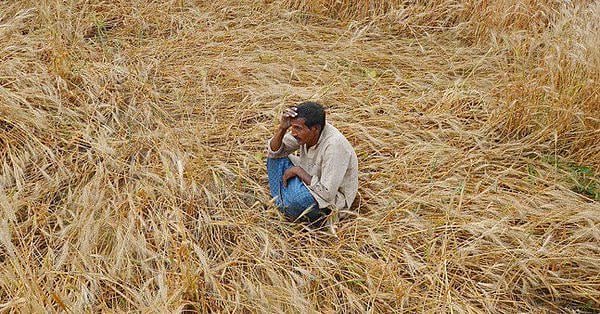 

مدھیہ پردیش کے کسانوں کے ساتھ بھی مذاق