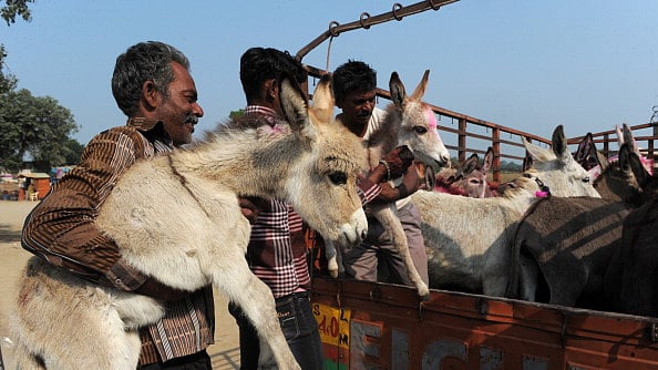 علامتی تصویر Getty Images