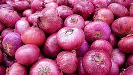 یو این آئی