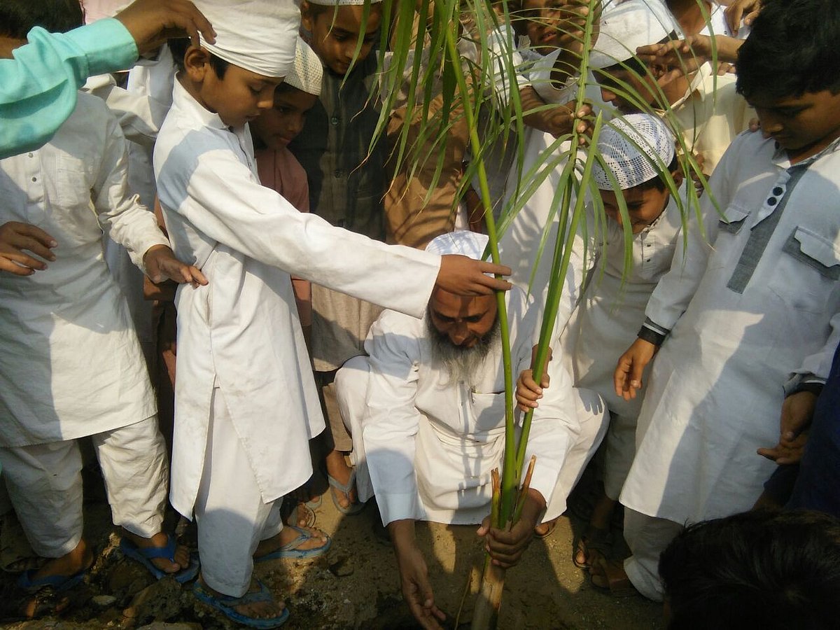 جمعیۃ علماء ہند کی مہم، چلڈرن ولیج میں شجر کاری