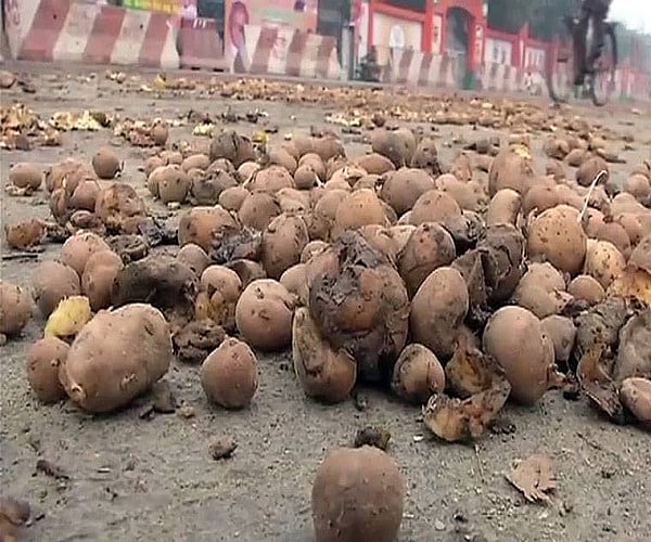 ناراض آلو کسانوں نے یو پی اسمبلی کے باہر آلو کی بارش کی، انتظامیہ بے خبر