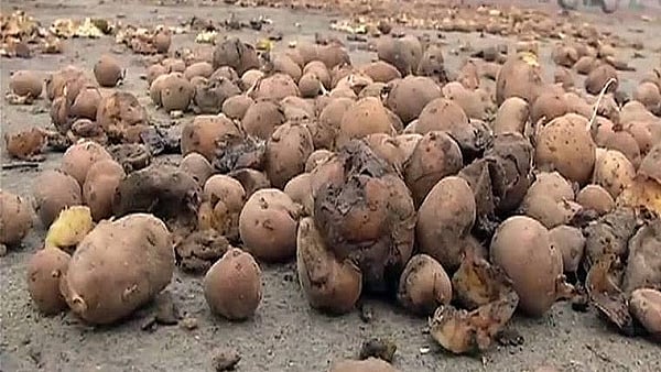 تصویر سوشل میڈیا