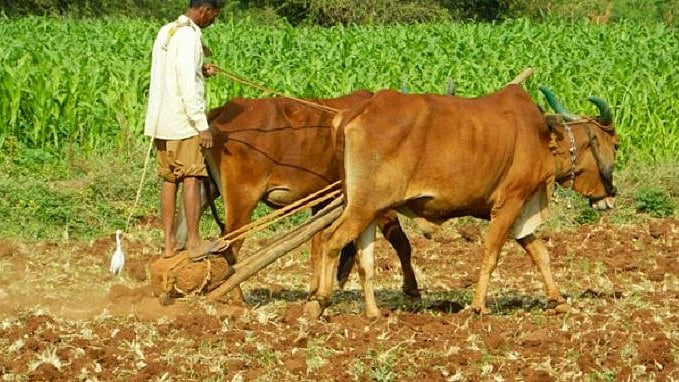 تصویر سوشل میڈیا