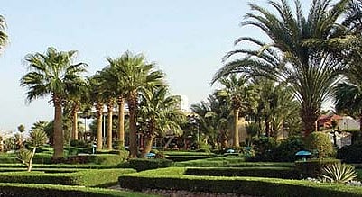 سعودی عرب اور امارات میں ضروری اشیا پر ٹیکس عائد
