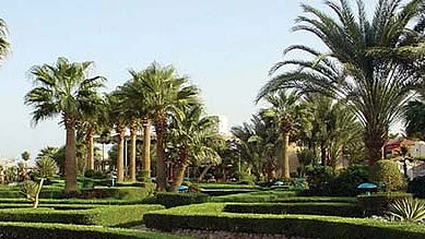 خلیجی ممالک کی ایک فائل تصویر &nbsp;