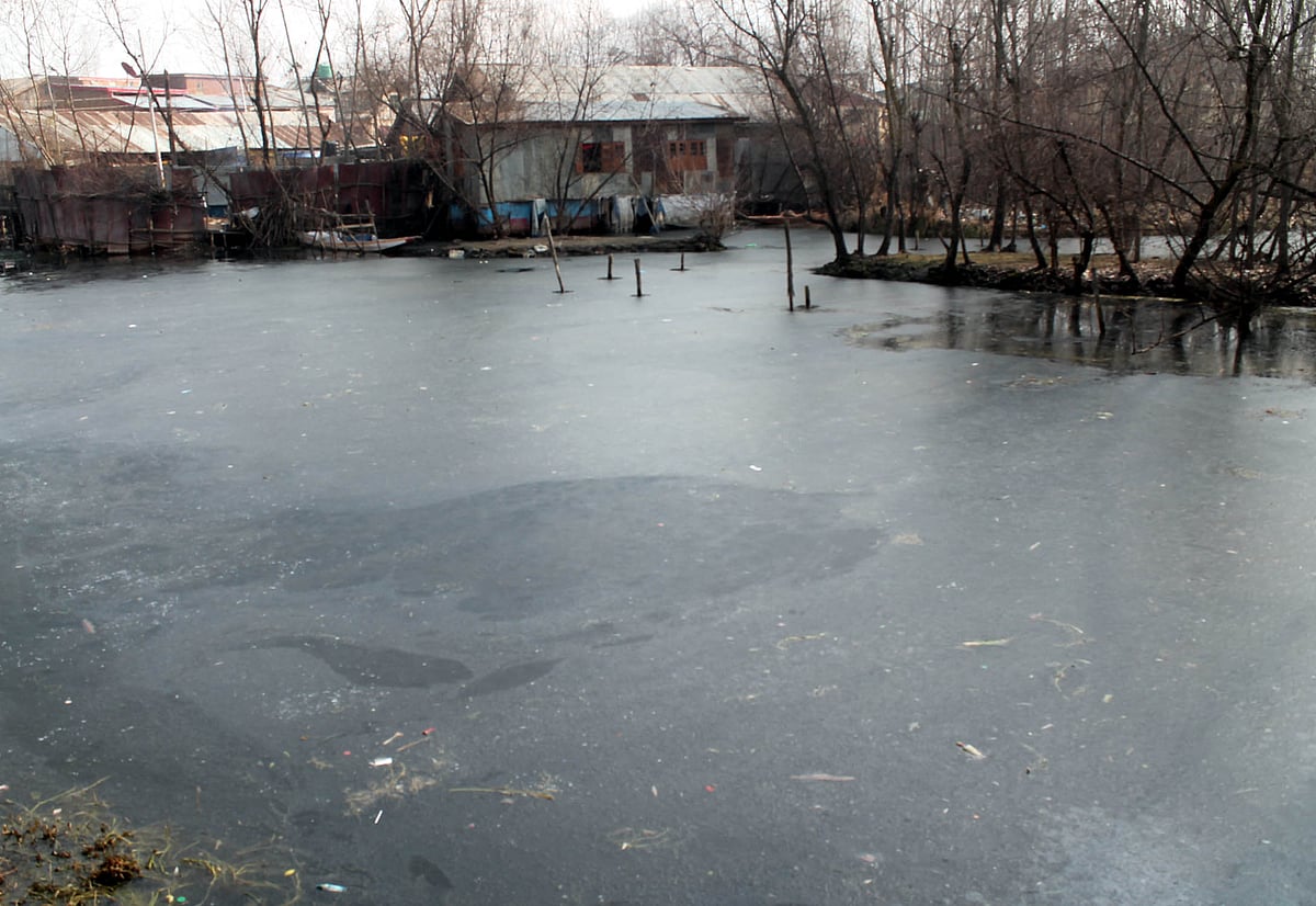تصویر یو این آئی